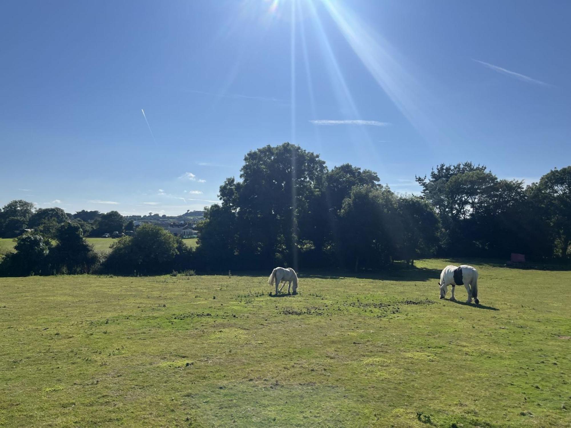 Aval Dor Barn, Croft Hooper Holiday home Ludgvan
